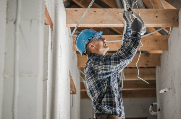 Best Electrical Upgrades for Homes  in Carrollton, IL